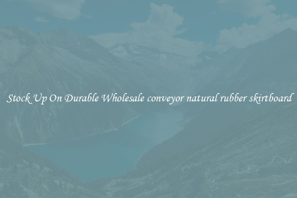 Stock Up On Durable Wholesale conveyor natural rubber skirtboard