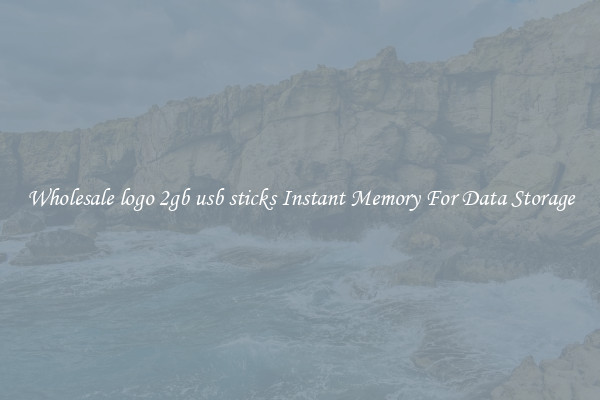 Wholesale logo 2gb usb sticks Instant Memory For Data Storage