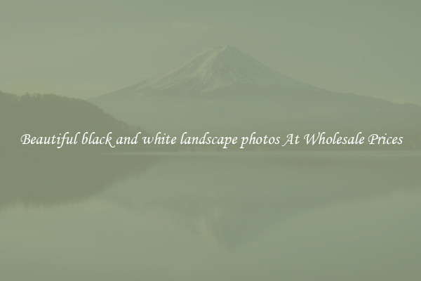 Beautiful black and white landscape photos At Wholesale Prices