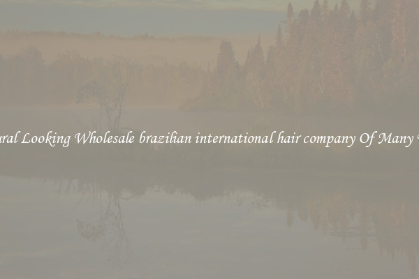 Natural Looking Wholesale brazilian international hair company Of Many Types