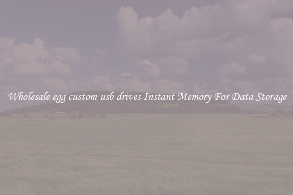 Wholesale egg custom usb drives Instant Memory For Data Storage