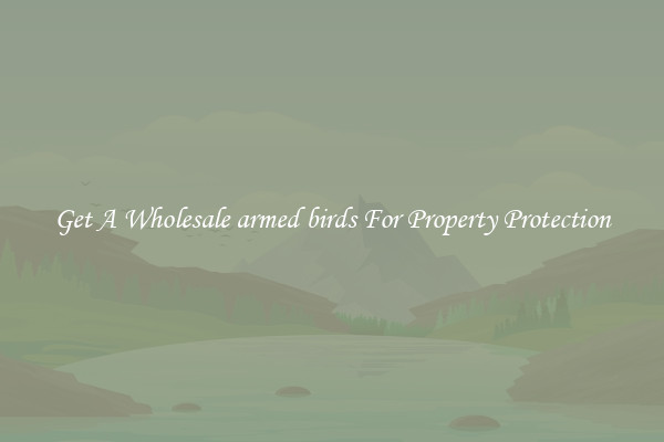 Get A Wholesale armed birds For Property Protection