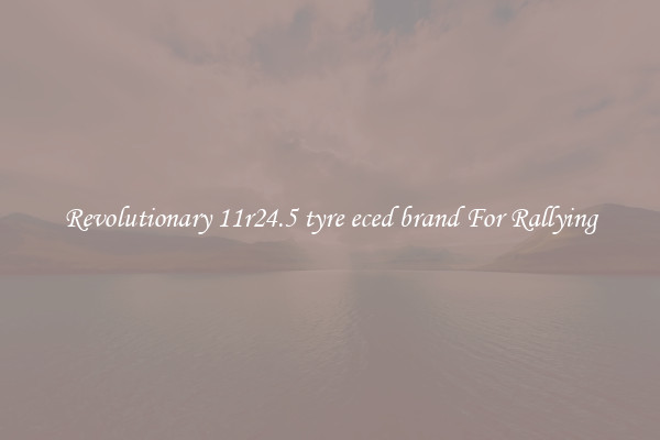 Revolutionary 11r24.5 tyre eced brand For Rallying