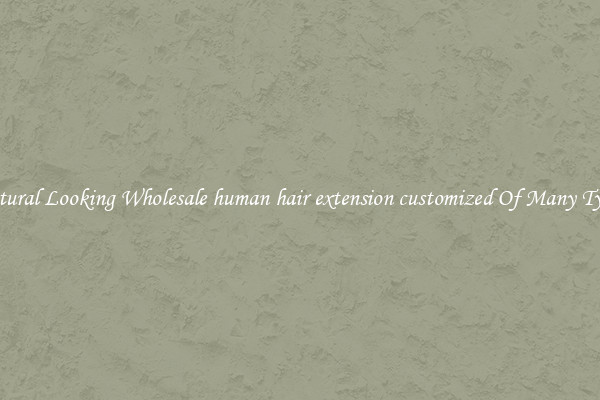 Natural Looking Wholesale human hair extension customized Of Many Types