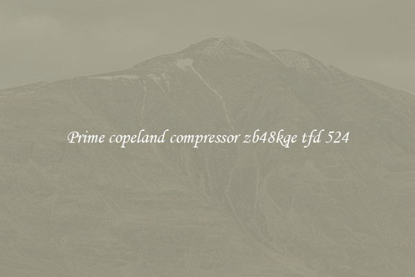 Prime copeland compressor zb48kqe tfd 524