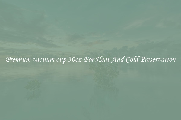 Premium vacuum cup 30oz For Heat And Cold Preservation