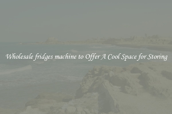 Wholesale fridges machine to Offer A Cool Space for Storing