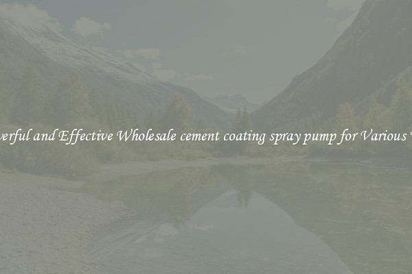 Powerful and Effective Wholesale cement coating spray pump for Various Uses