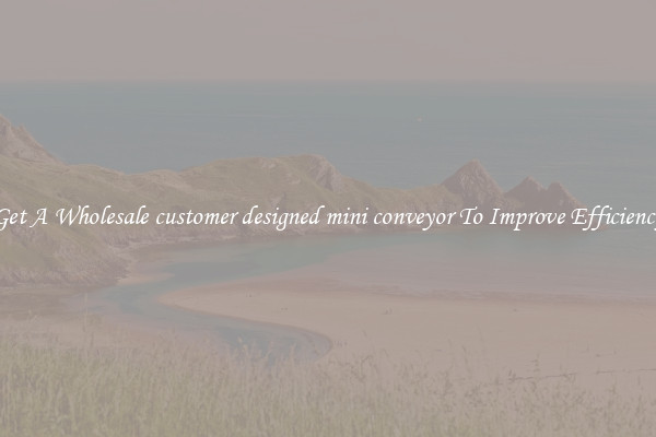 Get A Wholesale customer designed mini conveyor To Improve Efficiency