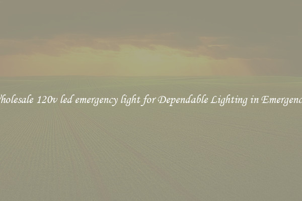 Wholesale 120v led emergency light for Dependable Lighting in Emergencies